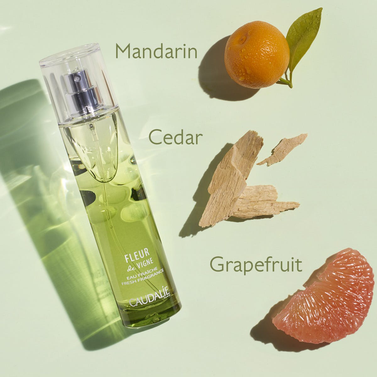 Eau Fraîche Fleur de Vigne - MaPeau
