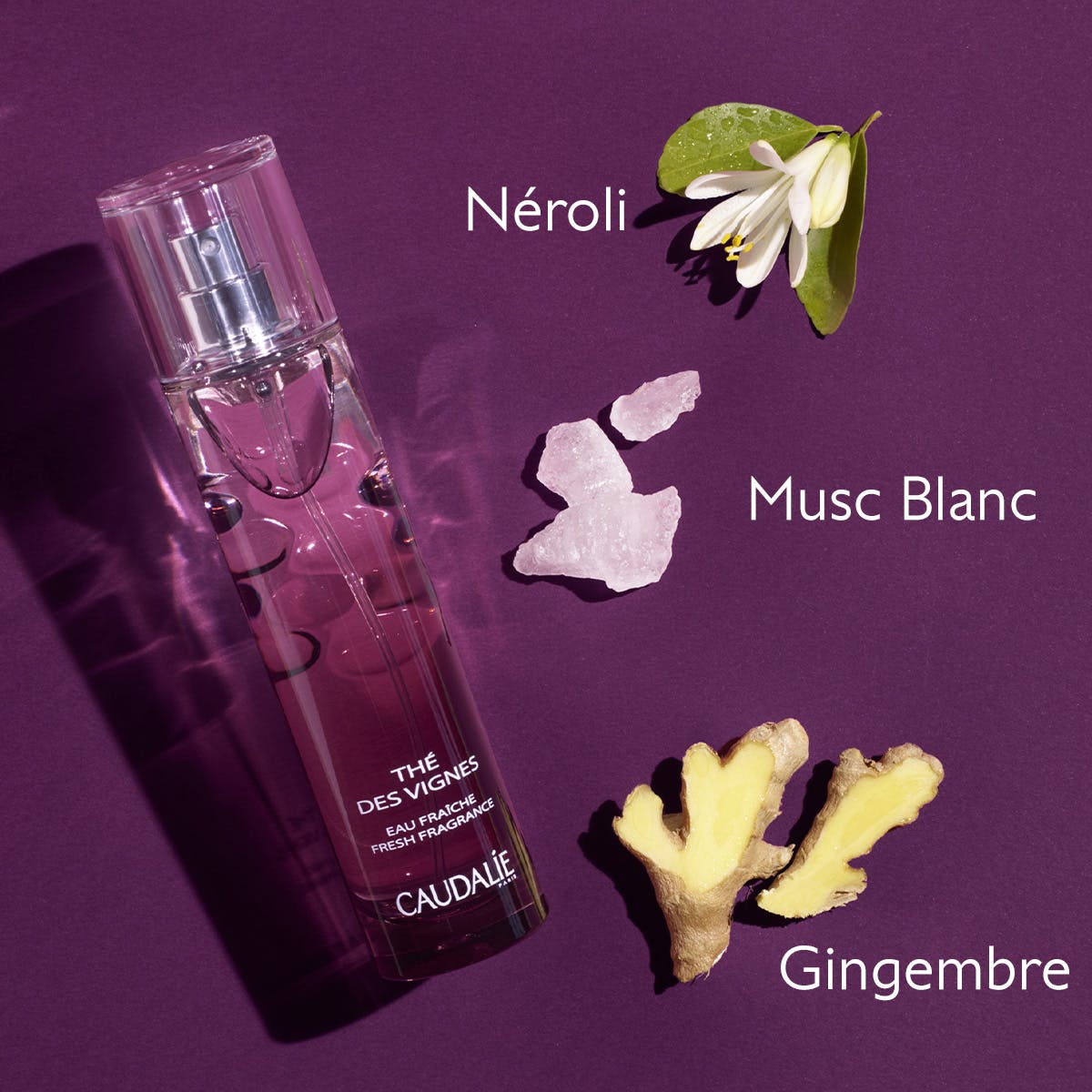 Eau Fraîche Thé des Vignes - MaPeau