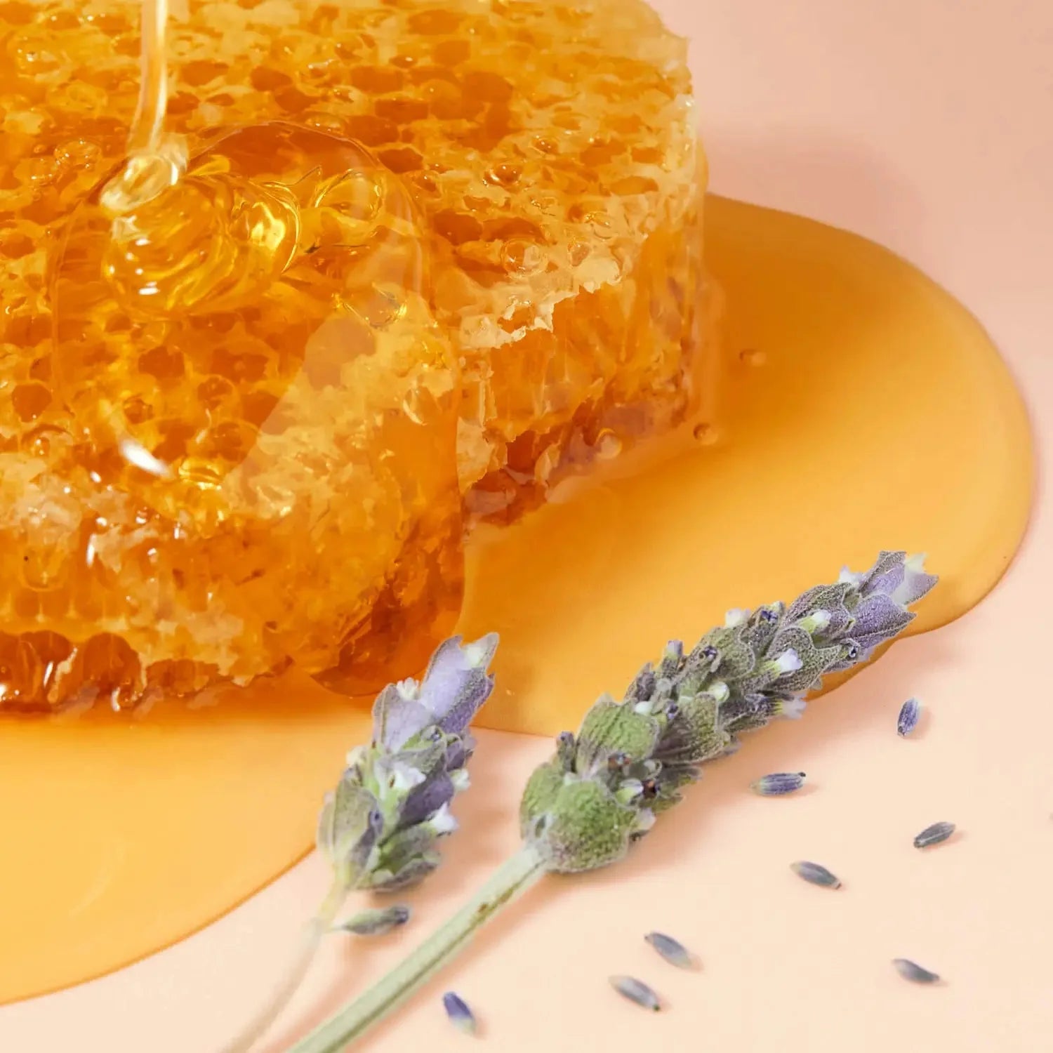 RÊVE DE MIEL Baume lèvres au miel - MaPeau