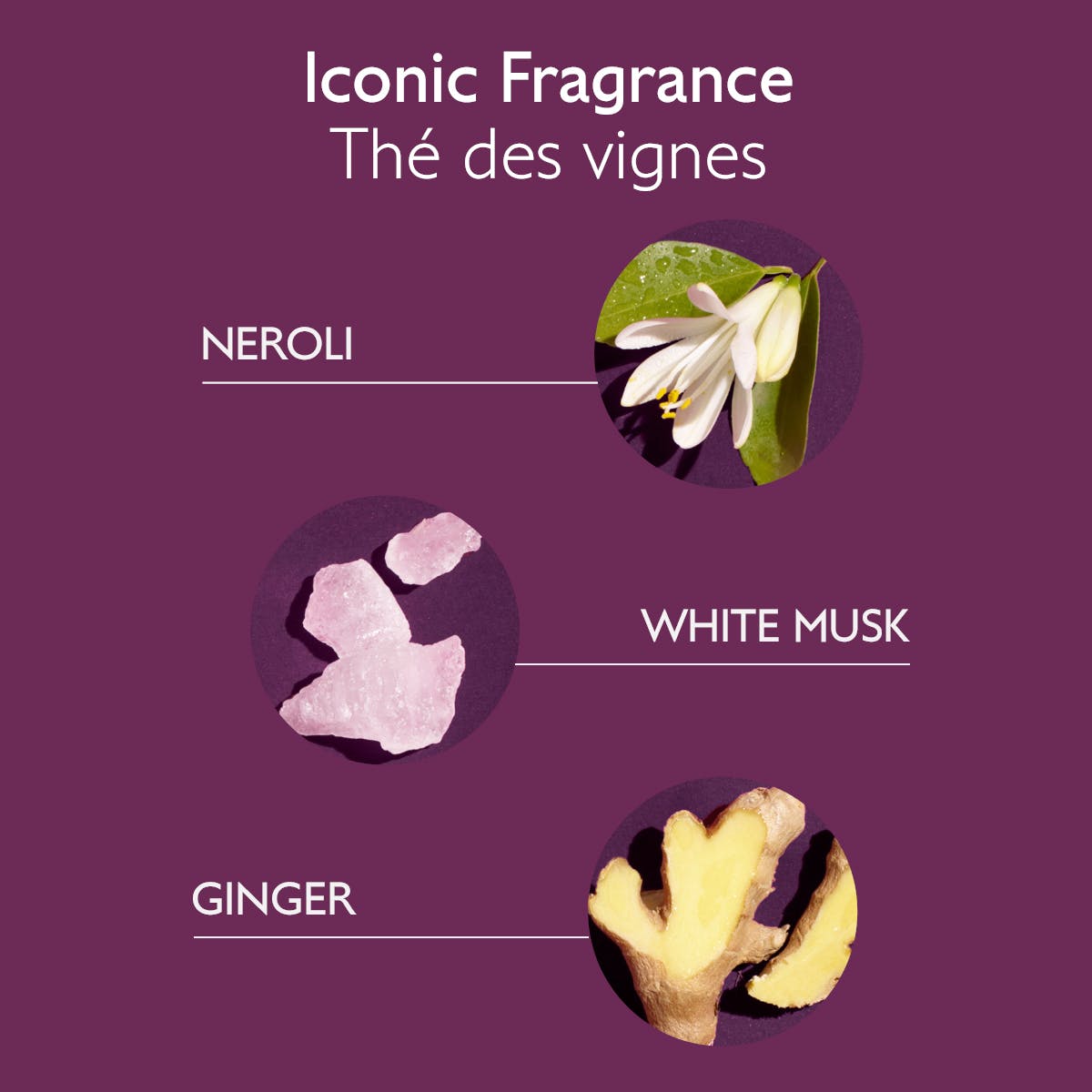 Zachte Verzorgende Shampoo - MaPeau